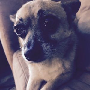 Meet your Posher, Viviana